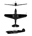 P-40 em tr&ecirc;s vistas