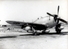 Republic P-47_7
