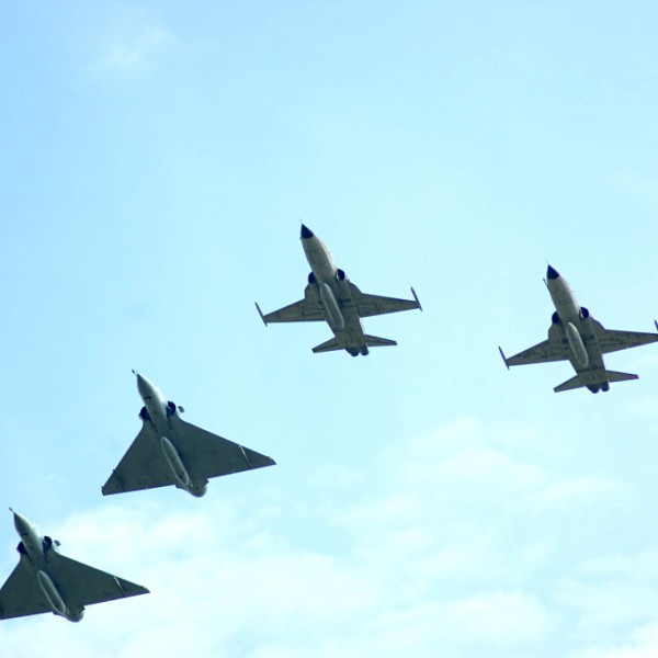 Caça 2007_1