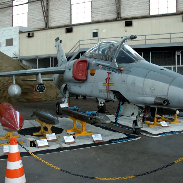 Caça 2007_9