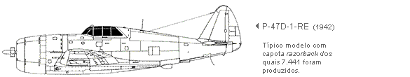 vista perfil do P-47D-1