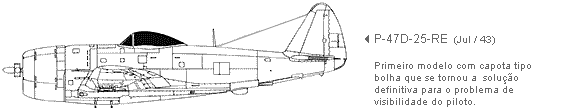 vista perfil do P-47D-25