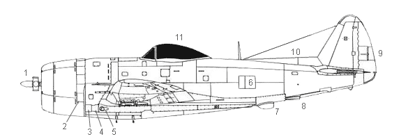 Vista em perfil do P-47D-40